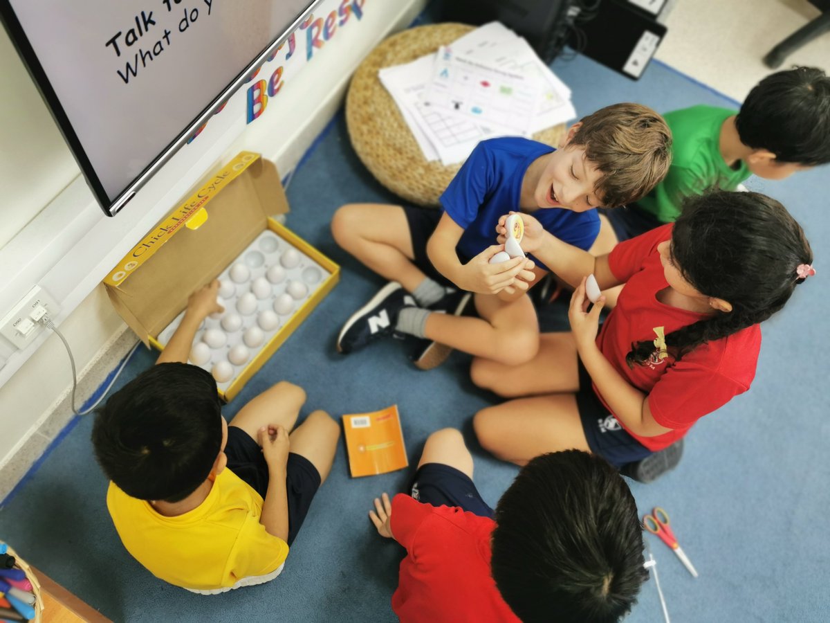 BSMuscatY2's tweet image. We are learning about life cycles in Year 2. Using our what we know about some life cycles and applying it to other life cycles as we link our learning to animal groups and our previous lessons on adult and offsprings. 
#linking
@BSMuscatY2 
@BSMuscat 
@HPLedu