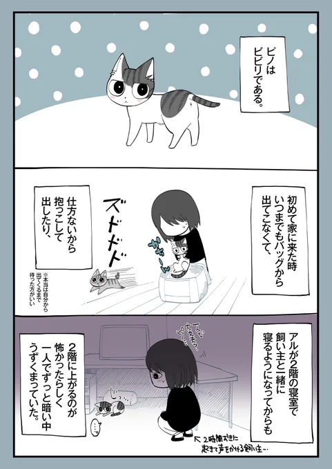 27.威嚇 