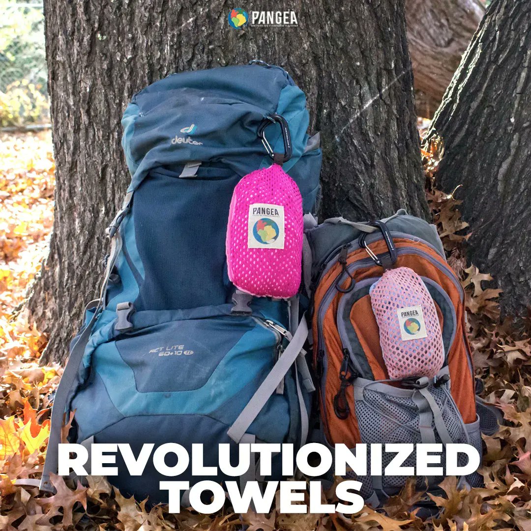 Pangea Movement tweet media