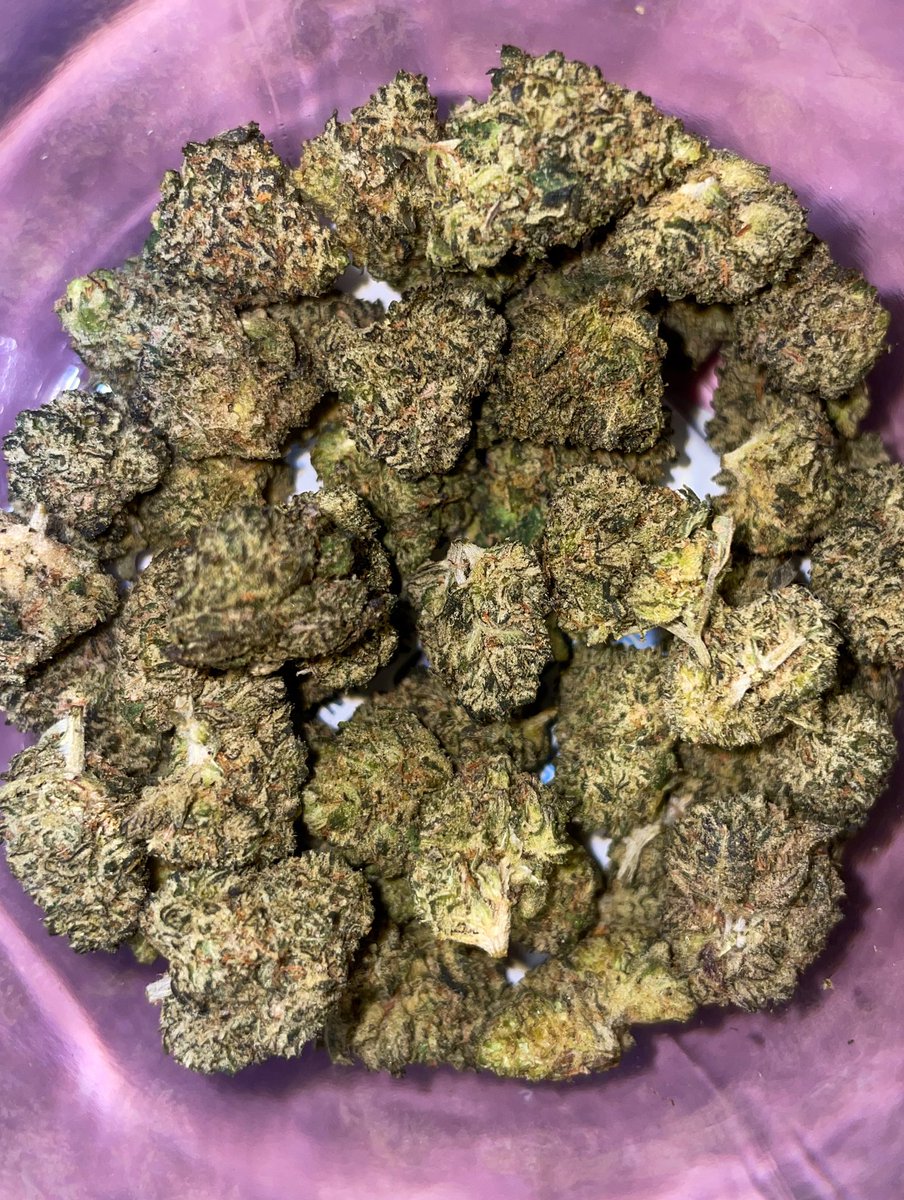 whowantsomeweed's tweet photo. Exotic✨Runtz of eden✨(Popcorn)🍿 
⚡️THC 29%⚡️450/g‼️#กัญชาพัทยา #กัญชา #กัญชาog #กัญชาชลบุรี #พันลำ #Joint #pattayaweed #weedinpattaya #pattayacity #pattayagirls #กัญชาบางแสน #กัญชารังสิต #พัทยา #พัทยาเหนือ #พัทยากลาง #พัทยาใต้ #บราวนี่กัญชา #คุ้กกี้กัญชา #weedcookie #Pattaya https://t.co/7HgqX6EnFk