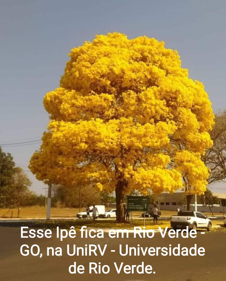EUZIMDEMEL's tweet photo. https://t.co/Zer7Vzoz9X