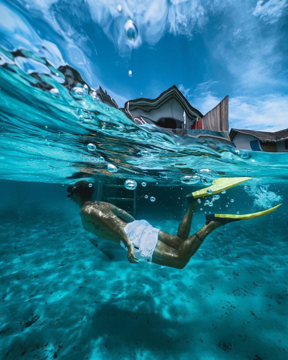 maldiveswise's tweet photo. If you haven’t realized it yet, the waters around Cora Cora Maldives are really crystal clear! It’s magical and you definitely need to see this with your own eyes! 👀

#CoraCoraMaldives #ItsFreedomTime #Maldives #maldivesresorts #maldivesislands #maldiveslife #maldiveswise https://t.co/BK8wH5uKzC
