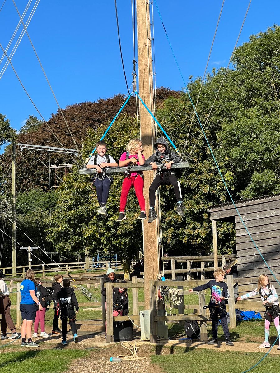 Newton Primary tweet media