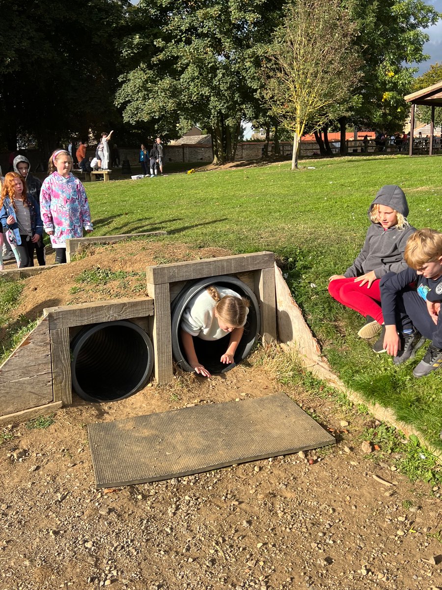 Newton Primary tweet media