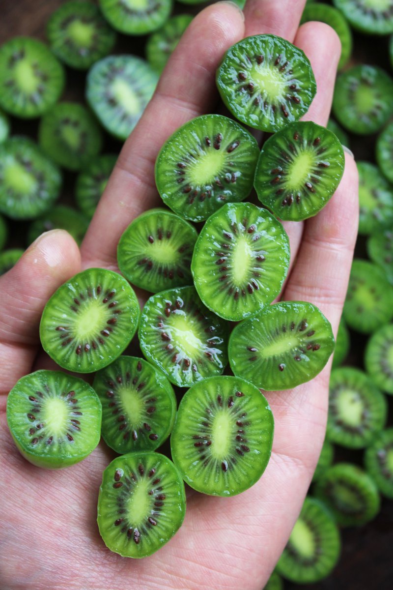 野菜ソムリエHiro🇨🇦🌈 (@hiro_vegetable) / Posts / X