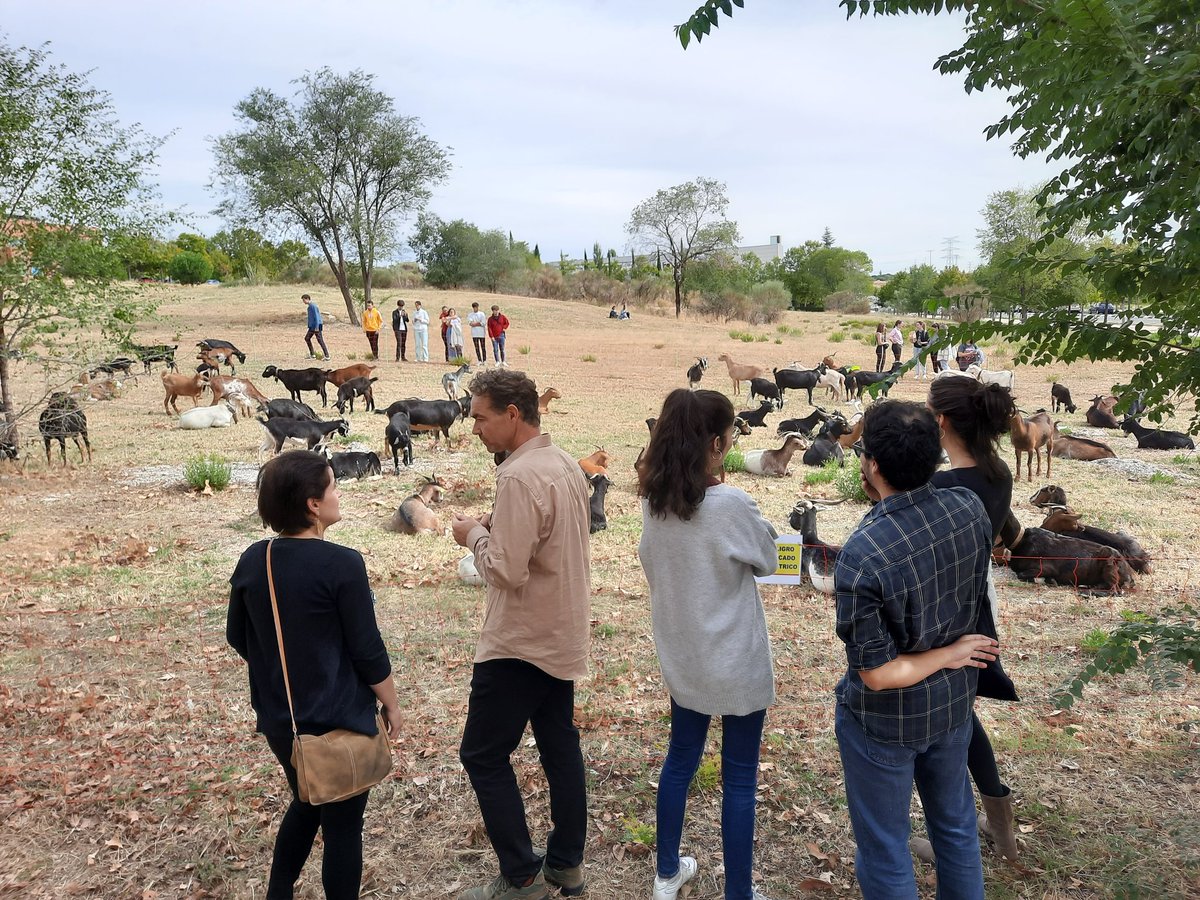 LIFE CAÑADAS tweet media