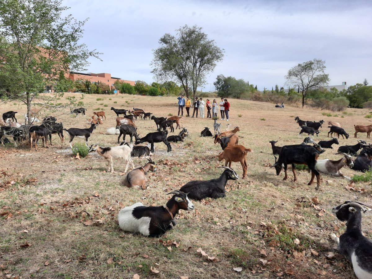 LIFE CAÑADAS tweet media