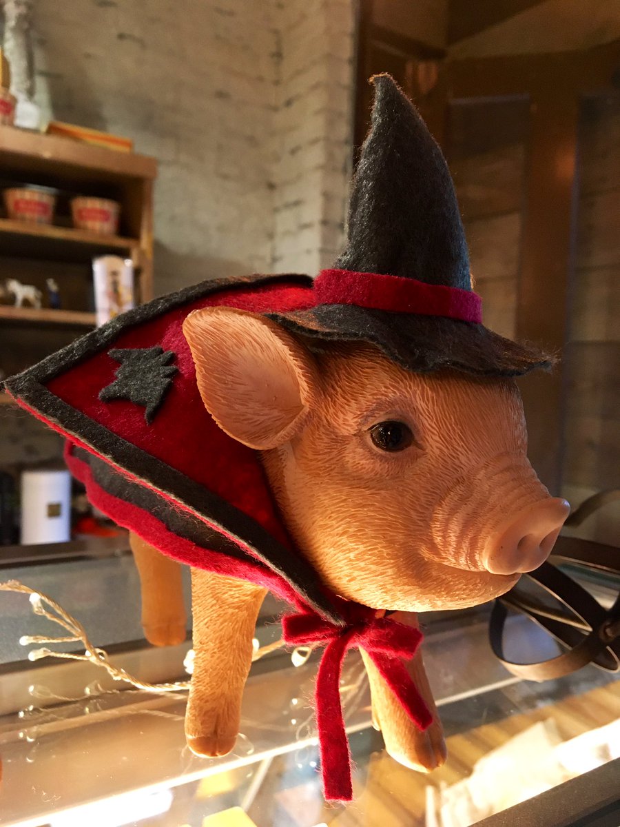 EdriverU's tweet photo. お店のマスコット的な子豚ちゃんにハロウィンコスプレ作ってあげた🎃👻
もともと洋服関係だったので、ハットの曲がり具合やマントの襟の立ち具合とか気にしちゃうよね。
イメージはドラキュラです🧛‍♂️
#ハロウィン　#仮装　#手作りコスチューム https://t.co/XqHUxjqrx8