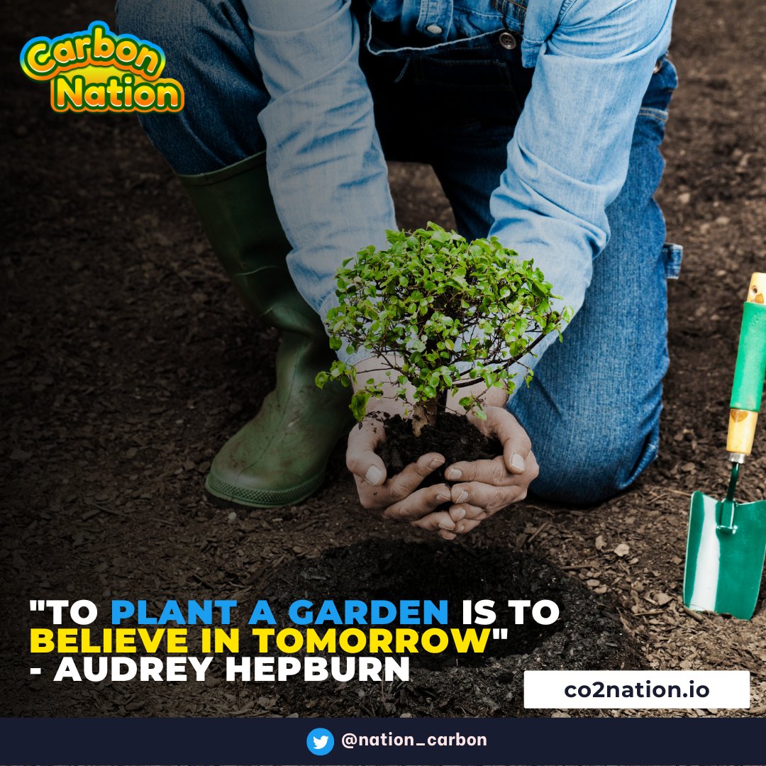 nation_carbon's tweet photo. #QuoteThursday
“To plant a garden is to believe in tomorrow.” — Audrey Hepburn
@nation_carbon aware with the carbon emission and we would like to take a part by reducing a carbon footprint on Web3.
#NFTCommunity $NEAR #NEARProtocol #web3 #NFTs #metaverse #metaverseNFT https://t.co/vgsxUlErBs