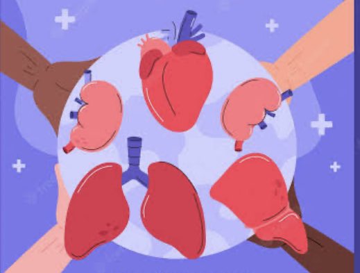 CFGUganda's tweet photo. @Parliament_Ug has passed the Human Organ Donation &amp; Transplant Bill,2022.

Big Congs to @MinofHealthUG upon this milestone. We urge you to keep the implementation of this bill as transparent as possible—For better of our country, UG.
#healthcare #OrganDonation #CORRUPTION https://t.co/pfgjw9feHr