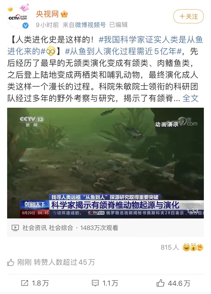 SINSO中文社区 tweet media