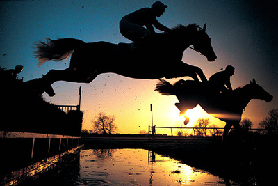 👄Name a horse racing game that you know that combines horse racing entertainment, NFT and GameFi to earn money while playing.🎖