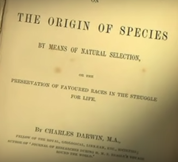 usa_thinker's tweet photo. @Ian05569316 @MartinCurtis01 @ChrisBouzakis Darwin believed in The Superior Race, as well. https://t.co/ls0vME6BIn