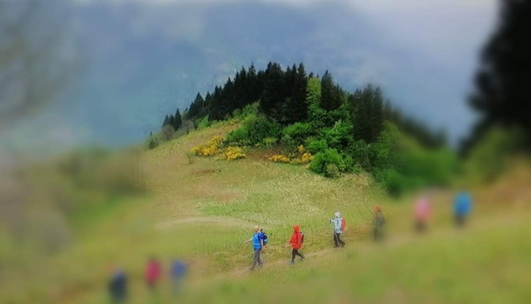 UGopso's tweet photo. #Uzungöl
#Trabzon
#Çaykara
#Türkiye https://t.co/l3hoXprLuC