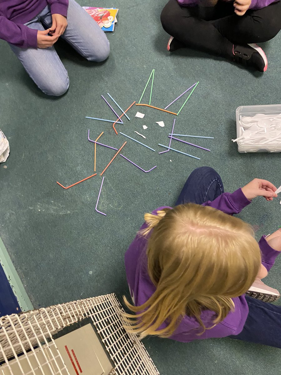 3rd Bilston Guides & Rangers tweet media