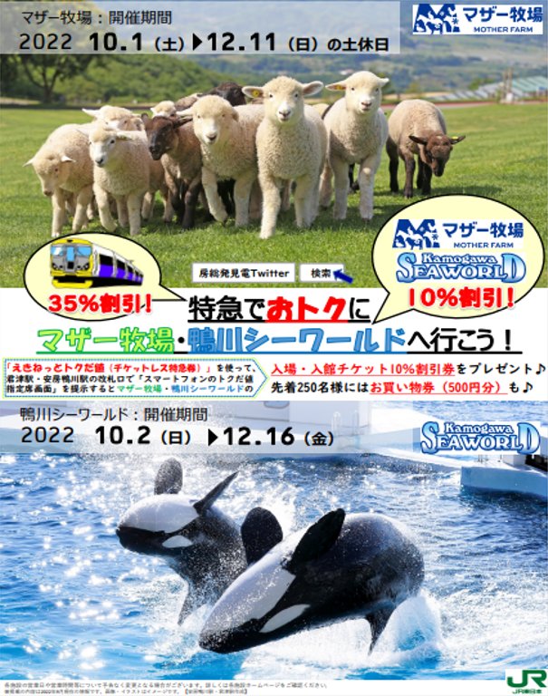 Kamogawa Tourism 鴨川市観光協会 Kamogawatourism Twitter