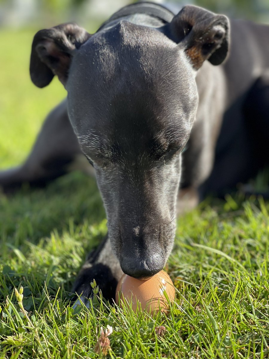 Gary Smith tweet media