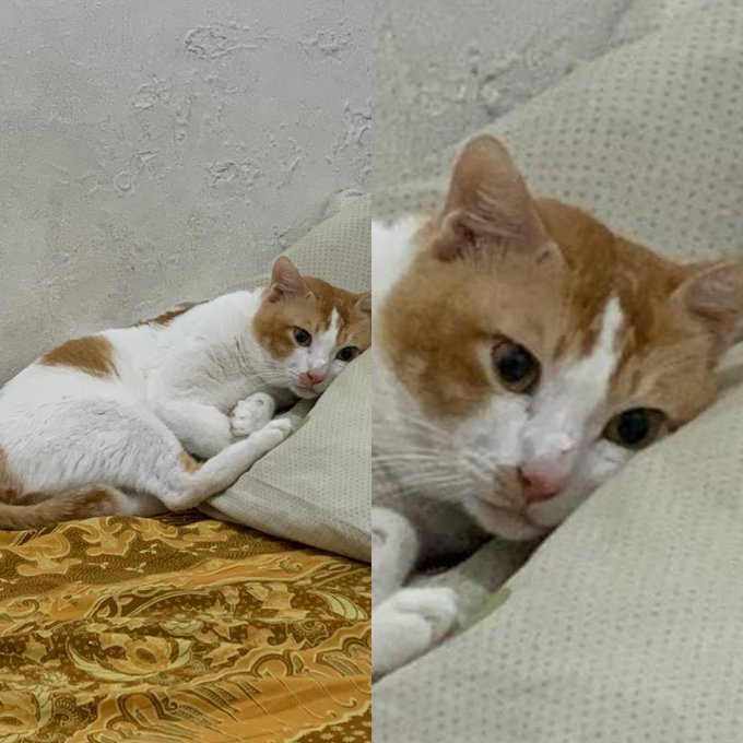 dntkntngg_'s tweet photo. @tanyakanrl Setelah Reza arap terus sekarang Rizky billar jadi percaya kalo cowok inisial R beneran suka nyakitin https://t.co/eBLzuwb0bw