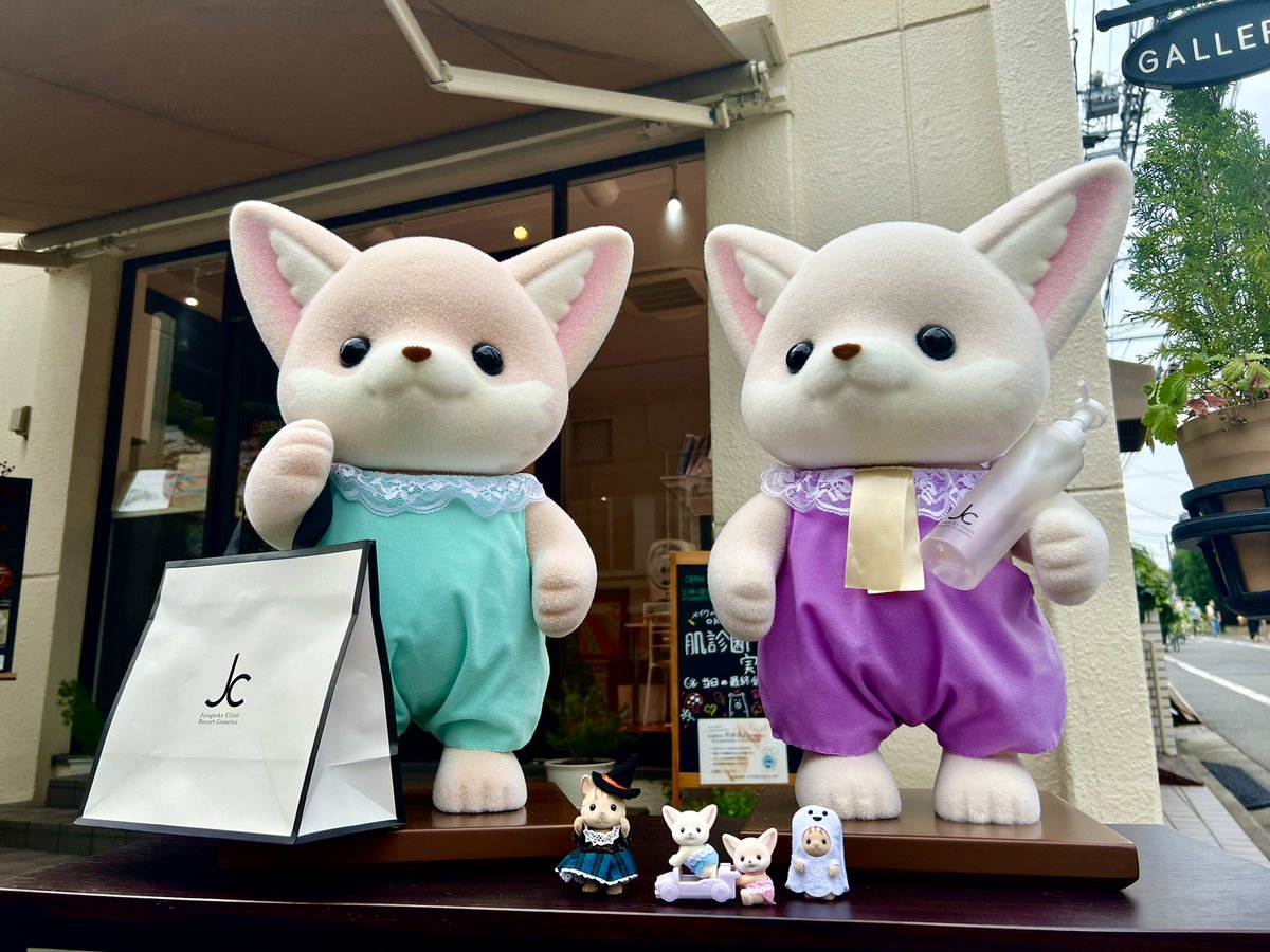 nanoplus18's tweet photo. #自由が丘クリニックビューティーハウス さんには大きいフェネックちゃん達の他にも、前回行った時には居なかったフェネックのふたごちゃんがいました😳💗
#SunsetCoffee さんでオレンジジュースを飲みながらひと休み😊✨
#シルバニアファミリーポップアップパークinjiyugaoka https://t.co/lEiQ1MOtEW