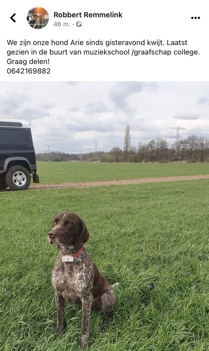 Graag delen! Arie is kwijt! #hond #doetinchem #hulp #help #zoeken