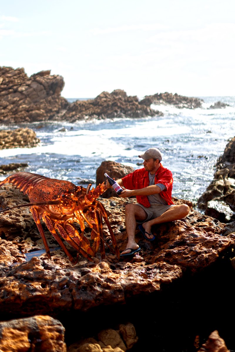 MaluLambert's tweet photo. So VERY excited about my West Coast regional profile on @Decanter - in some ways the West Coast is mirroring the revolution that transformed its neighbour, the Swartland, and is going from bulk to cult. https://t.co/PuUmVxC2zh #southafrica #capewine2022 https://t.co/cOjUiqWTFY