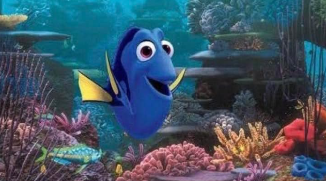Flantasma1's tweet photo. Dory viendo orgullosa como se me
olvida todo: https://t.co/HzNGkZRvYP