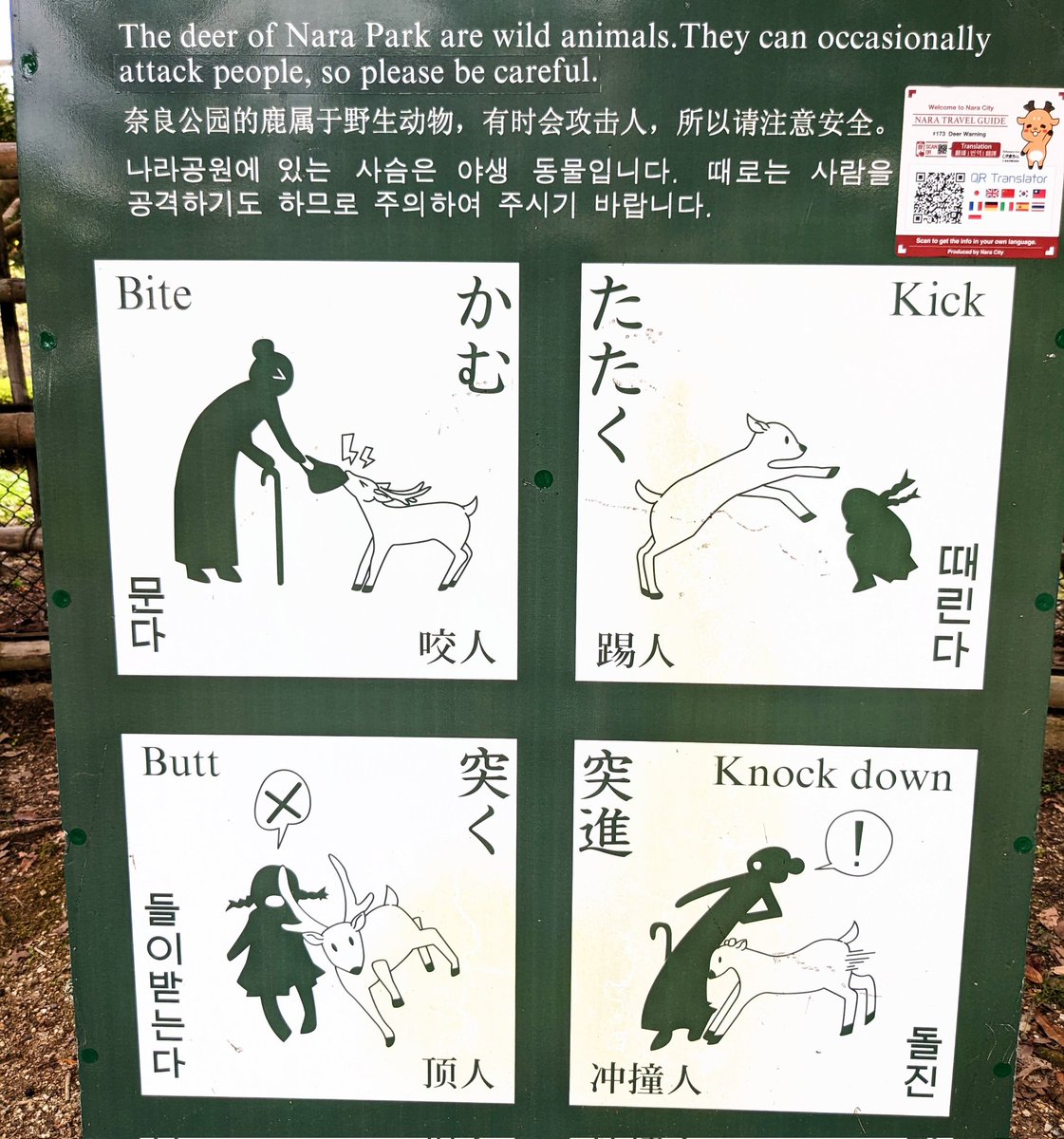 Yozora_blues's tweet photo. As with all Pokémon, the deer in Nara can only learn four moves at once. https://t.co/3dkSMCGnpB