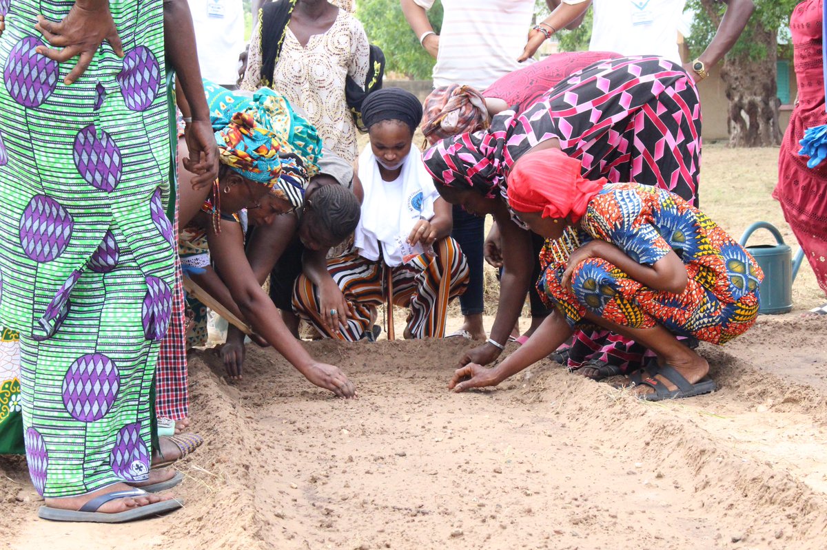 Université Cheikh Anta Diop de Dakar tweet media