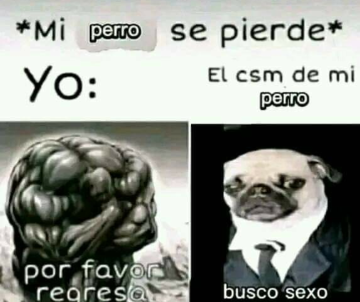 Cauquipotencia's tweet photo. https://t.co/xCP7Tu9JWz