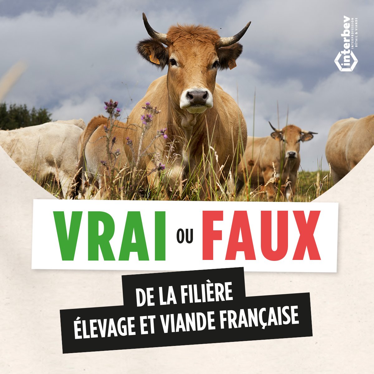 Interbev_fr's tweet image. [📰#FLEXIPROS]
✅ VRAI ou ❌ FAUX
Découvrez le quiz de la filière #Elevage et #Viande.
➡️bit.ly/Flexipros_Auto…
#SEDD2022