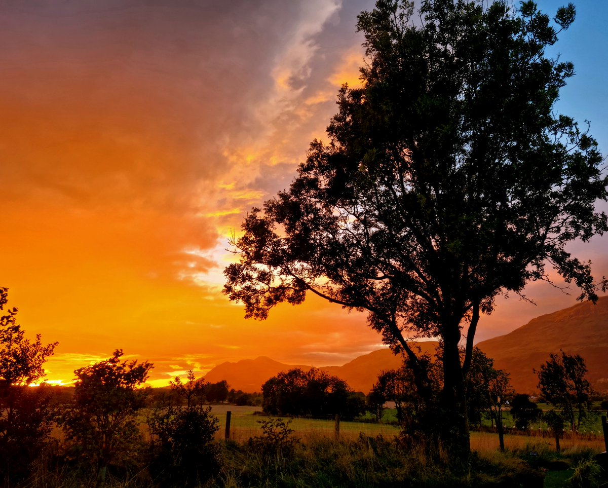 Mike Wood tweet media