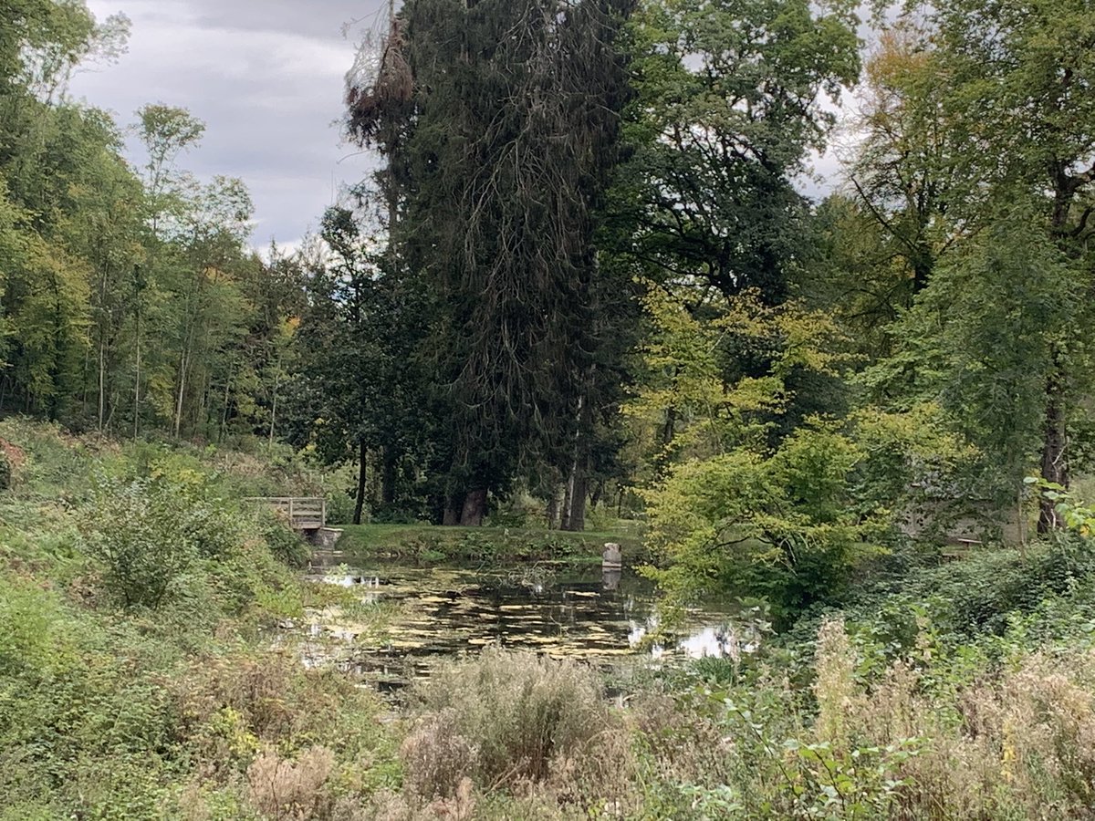 Mark Roberts (@nt_watermark) on Twitter photo The dams at Fishpool Valley really starting to look awesome after recent restoration. They do compliment the picturesque views beautifully. <a href="/ntcroftcastle/">NT Croft Castle</a> @NTMidlands @BritishDams The dams at Fishpool Valley really starting to look awesome after recent restoration. They do compliment the picturesque views beautifully. <a href="/ntcroftcastle/">NT Croft Castle</a> @NTMidlands @BritishDams