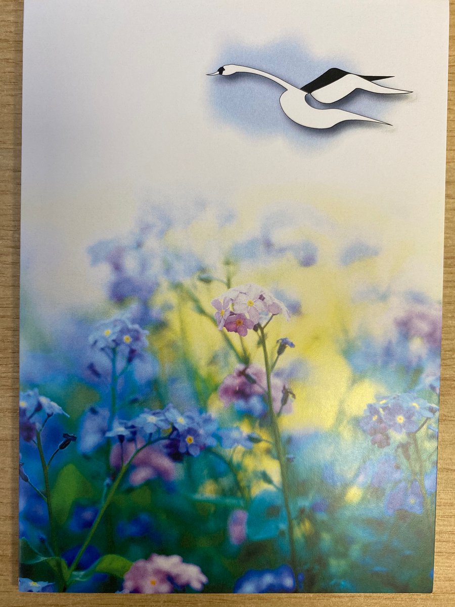 We are very pleased to be able share with you a peek at our new condolence cards. The card shows the image of the swan. The swan represents dignity, respect and compassion at the end of life. More news to follow on the swan…..