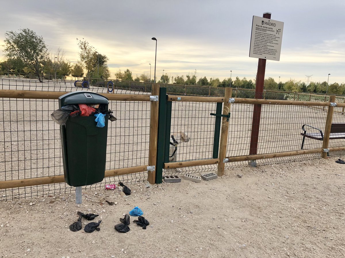 JeSaav's tweet photo. Buenos días @Lineamadrid papelera a rebosar en parque canino de Cerro Milano con Arte Figurativo. Además de vaciarla habría que instalar al menos una más, dado que se utiliza a diario por una gran cantidad de perros. https://t.co/rJSGq92H0E