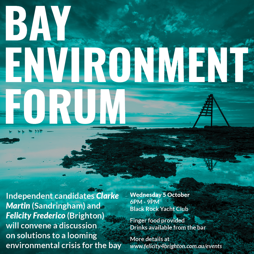 BAYSIDE ENVIRONMENT FORUM 
Independents Clarke Martin &amp; Felicity Frederico convene a discussion on solutions to the looming environmental crisis for the Bay.
Wed, 5 Oct 6pm– 9pm
Black Rock Yacht Club
Book: eventbrite.com/e/bay-environm…  #felicity4brighton #springstreet #ClimateCrisis
