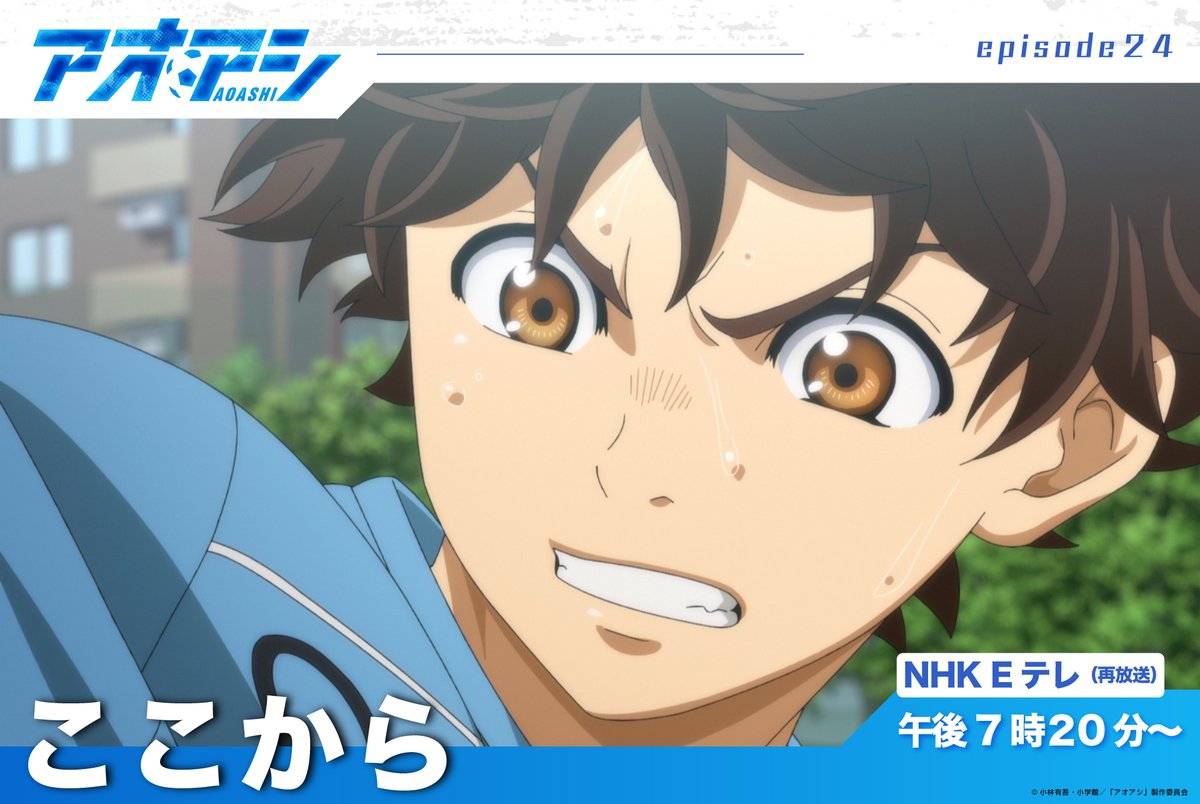 アオアシ 1-38巻 +α1冊 アニメ化作品 アニメ2期放送予定！