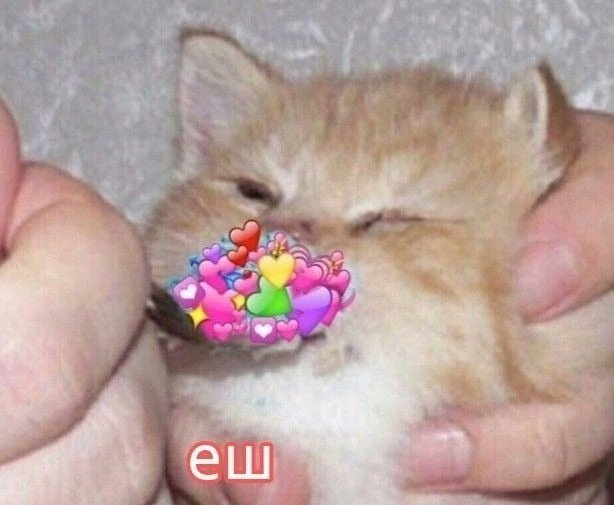 Shutki konchilis` tweet media