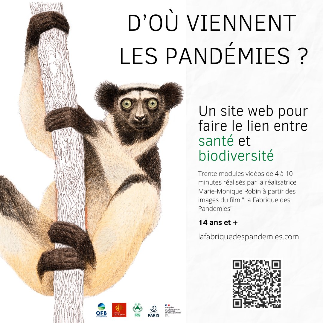 m2rfilms's tweet photo. M2R Films propose un site, développé avec le ministère de l'Education nationale, pour comprendre les liens entre la destruction de la biodiversité et les pandémies:
- 30 vidéos de 3 à 10', avec une vingtaine de scientifiques
- 19 fiches ressources
#LaFabriquedesPandémies @OFB https://t.co/l2kecoUWq6