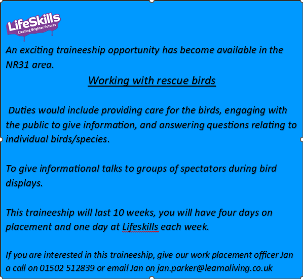 Check out this amazing traineeship opportunity!

To find out more about Lifeskills traineeships you can click on the link below.
bit.ly/3GtFMam