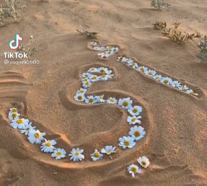 #اليوم_العالمي_للقلب
كم لايك او قلب تحتاج هذه الكلمة بالصورة ؟