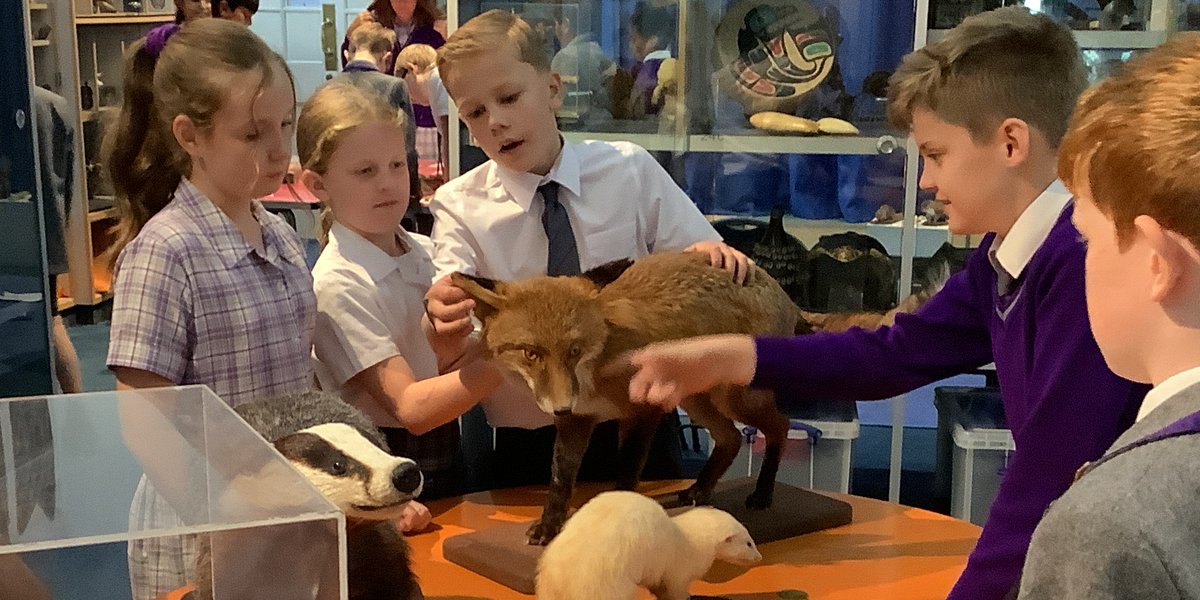 BansteadPrep's tweet photo. Amazing workshop @HornimanMuseum for #Year6 introducing classification. We found out why scientists need to classify living things and had a go at identifying the features of vertebrates and invertebrates. #BPS_STEM #curiosity #collaboration https://t.co/j5wa0cjwJ4