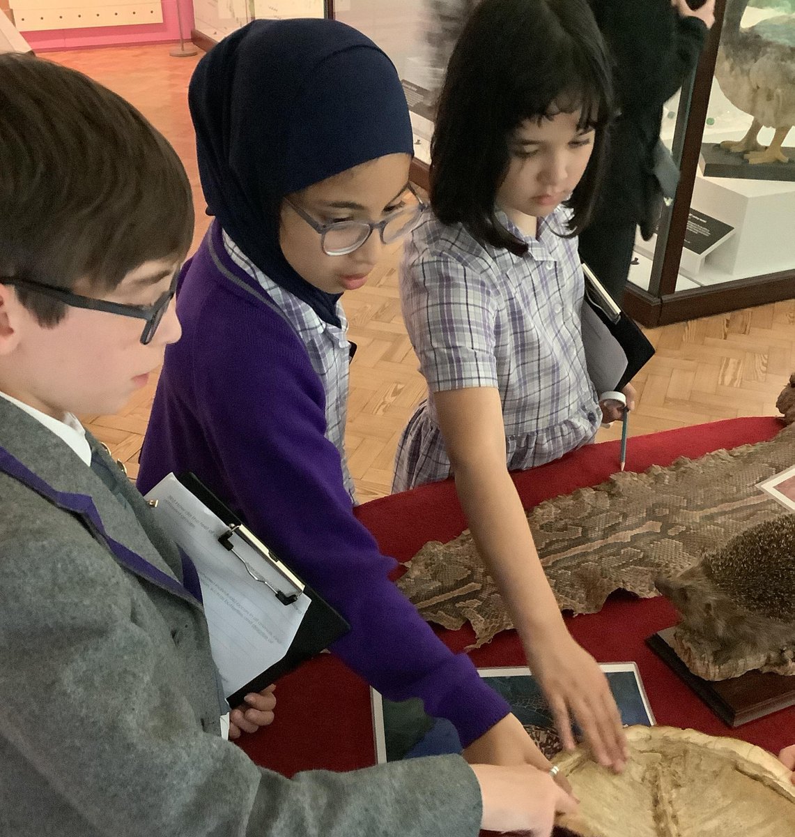 BansteadPrep's tweet photo. Amazing workshop @HornimanMuseum for #Year6 introducing classification. We found out why scientists need to classify living things and had a go at identifying the features of vertebrates and invertebrates. #BPS_STEM #curiosity #collaboration https://t.co/j5wa0cjwJ4