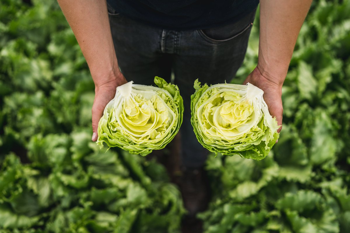 JoinData_'s tweet image. JoinData-directeur Sener: “Bij ons wordt data alleen gedeeld met een machtiging van de teler en een scherpe doelbinding.”
Lees het hele gesprek dat Sener had met slateler Peer en Agrifirm via: join-data.nl/nieuws/intervi…