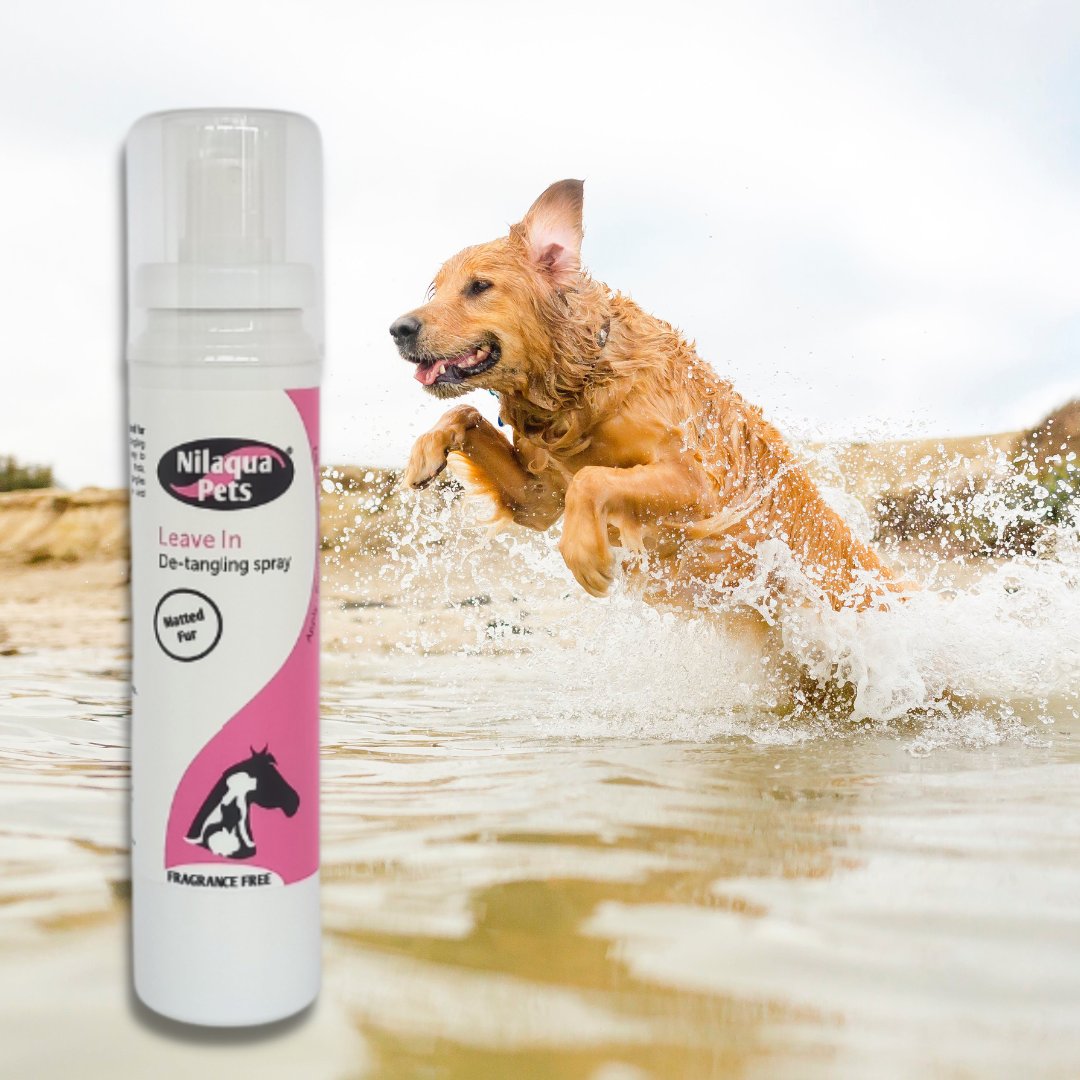 nilaqua's tweet image. Love a beach walk, but hate the sandy fur and knots?
Our newest Leave-In Pet Detangling spray is perfect for getting those stubborn knots out, and to finish why not pop on some towel off pet shampoo to clean that sandy fur.

#beachhack #sand #sea #knots #tangles #detanglingspray