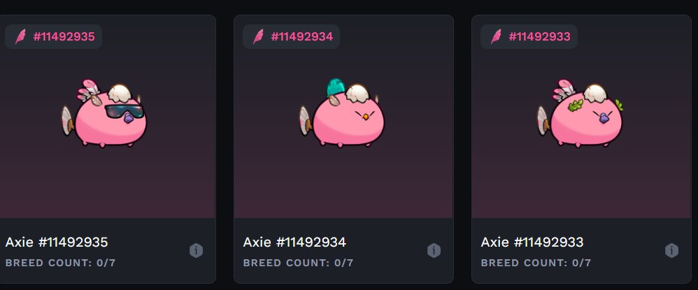 AxiePros.Ron tweet media