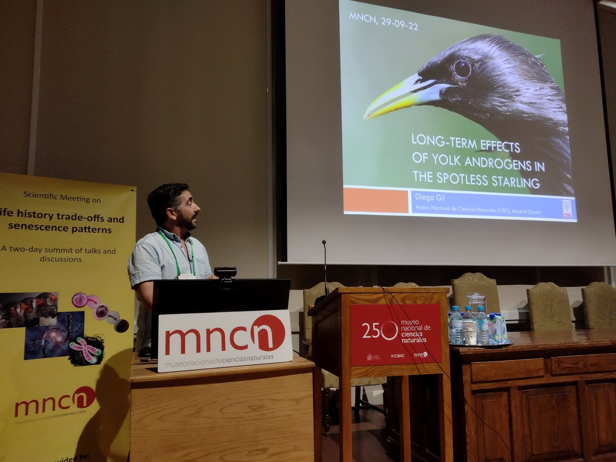 It's happening!! <a href="/diegogil_twitt/">Diego Gil</a> 's talk opens our symposium on life history trade offs and senescence patterns <a href="/mncn_csic/">Museo Nacional de Ciencias Naturales</a> <a href="/SEBiology/">SEB @sebiology.bsky.social</a> <a href="/Co_Biologists/">The Company of Biologists</a> <a href="/liss_ael/">Elisa P. Badas</a> <a href="/Christina_Bauch/">Christina Bauch</a>