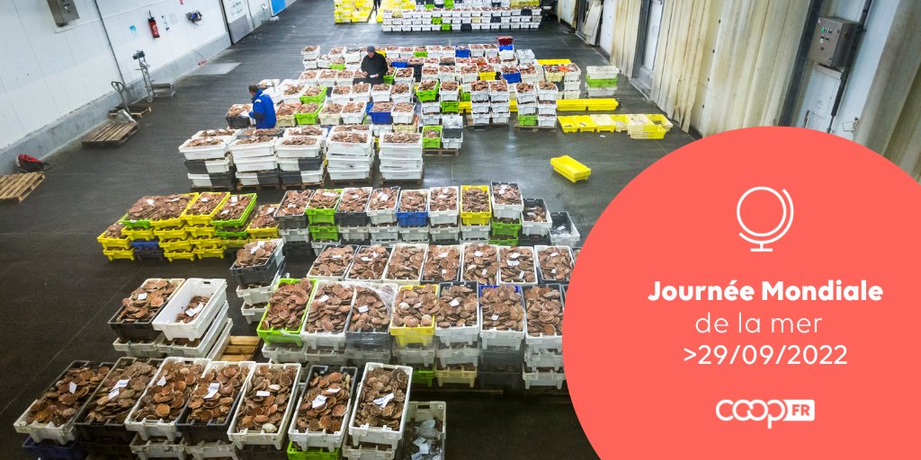 CoopFR's tweet photo. #JournéeMondiale de la #mer !🎣
La #CooperationMaritime est engagée dans la pêche responsable ! Exemple avec la #coopérative #Copeport à Port-en-Bessin #Normandie qui participe aux programmes Pechpropre et Recypeche dans la collecte et la gestion des engins de pêche usagés.👍 https://t.co/BJRniyf3Ux