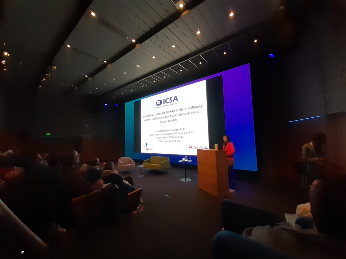 Marta Varela-Eirín (@mveirin) on Twitter photo Once again, <a href="/PaulaCarpintero/">Paula Carpintero-Fernandez</a> is showing her amazing results about the combination of Cx43+CDK4/6 inhibitors for targeting breast cancer at the <a href="/ICSA_senescence/">International Cell Senescence Association</a> #ICSA2022 So proud!!👏 Once again, <a href="/PaulaCarpintero/">Paula Carpintero-Fernandez</a> is showing her amazing results about the combination of Cx43+CDK4/6 inhibitors for targeting breast cancer at the <a href="/ICSA_senescence/">International Cell Senescence Association</a> #ICSA2022 So proud!!👏
