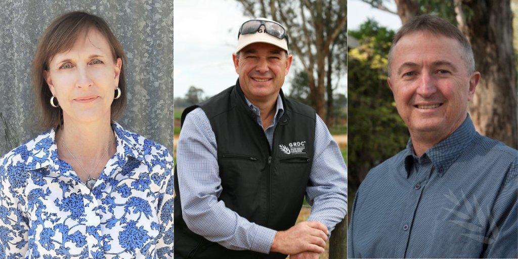 theGRDC's tweet photo. A big welcome to the newest members of GRDC's Northern Panel: 

➡️ Fernanda Dreccer @ferdreccer, returning member Roger Bolte and executive member Peter Carberry @CarberryPeter. 

Read more: https://t.co/h8uj3KiuNd 

@GRDCNorth https://t.co/BiPndMHWRt