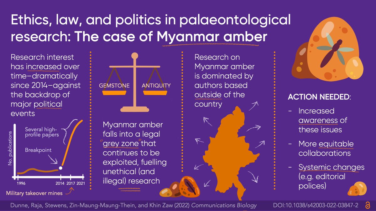 We are so pleased to share our paper on the ethical, legal &amp; political issues surrounding #Myanmar amber. 

We explored the data behind this important case to highlight changes needed to curb unethical and illegal practices in #palaeontology 🧵(1/9)

🔗 nature.com/articles/s4200…